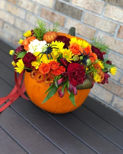 Blooming Pumpkin - in Destin, FL thumbnail 2