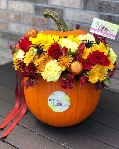 Blooming Pumpkin - in Destin, FL thumbnail 3